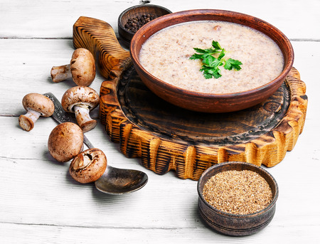 delicious seasonal vegetarian soup with chanterelle mushroomsの写真素材