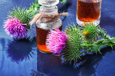Buds medicinal wild plants burdock and burdocks medicinal tincture.の写真素材