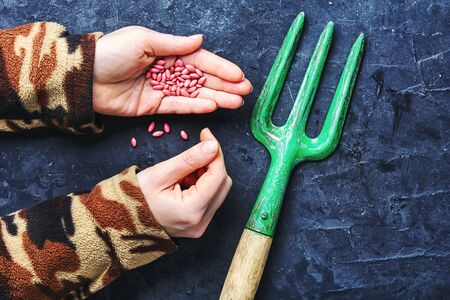 Arm with plant seeds and sprouted spring flowersの写真素材