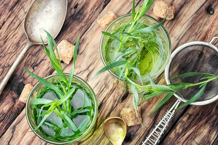 Cool summer drink from the leaves of tarragonの写真素材