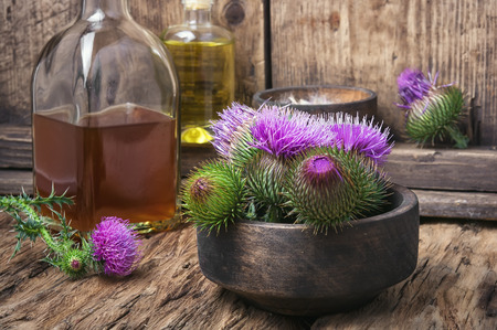 Wild plant thistle also medicinal tincture on a wooden surfaceの写真素材