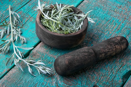 wooden mortar with pestle with a wormwood branchの写真素材