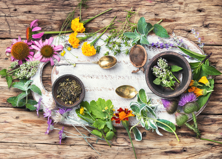 Natural healthy herbsの写真素材