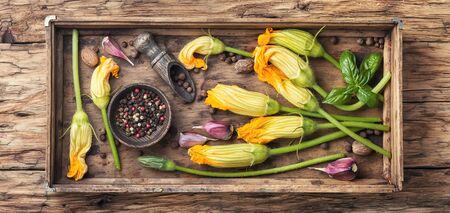 Edible pumpkin flowers with spice on a retro backgroundの写真素材