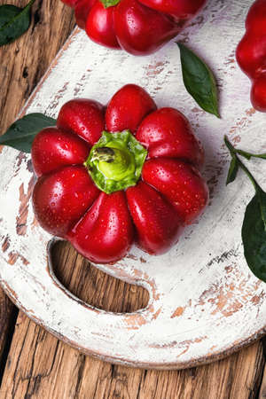 Red pepper rattunda on wooden rustic backgroundの写真素材