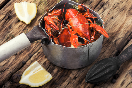tasty boiled shellfish served in metal potの写真素材
