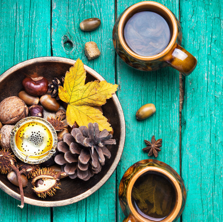 Cup with tea, against the background of autumn foliage, cones and nutsの写真素材