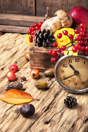 Retro clock, fallen autumn leaves, pine cone, acorn and viburnumの写真素材