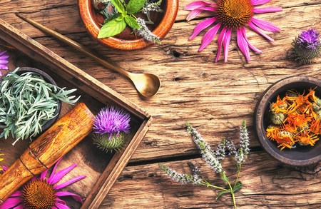 Medicinal herbs and plants in a wooden box in a vintage background.の写真素材
