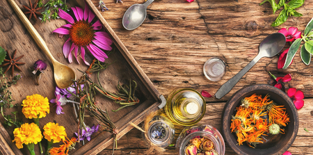 Medicinal herbs and plants in a wooden box in a vintage background.の写真素材