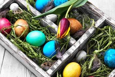 Easter colored egg and symbolic rabbit in box