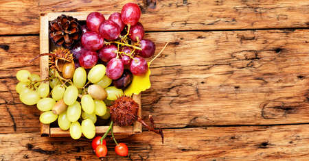 large bunch of autumn grapes on a wooden tableの写真素材
