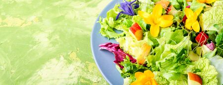 Vegetarian salad leaves with herbs and flowers.Healthy spring saladの写真素材
