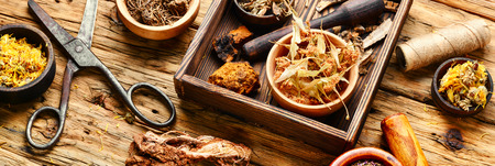 Natural herbal medicine,medicinal herbs and herbal medicinal root.Natural herbs medicine