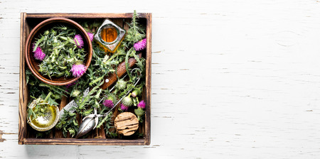 Healing plant of thistle and medical bottles with extract.Herbalismの写真素材