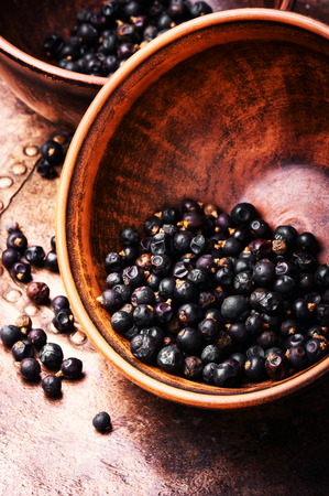 Pile of dry juniper berries prepared for healing teas and extractsの写真素材