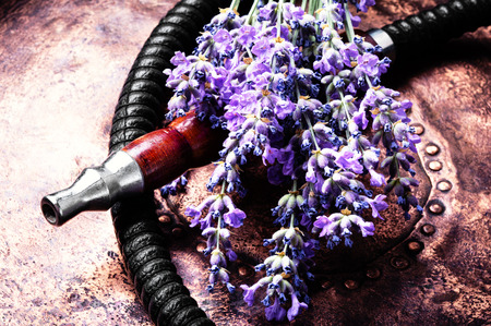 Smoke hookah with lavender floral .Shisha concept.Hookah concept