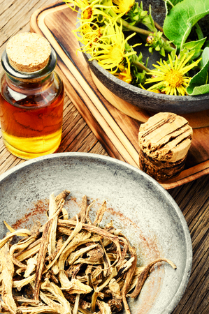 Healing elixir from the root of inula.Healing herbsの写真素材