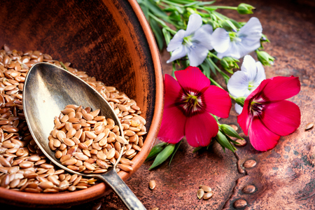 Flax seed and flax flowers in mortarの写真素材