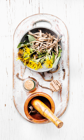 Healing elixir from the root of inula.Alternative medicine conceptの写真素材
