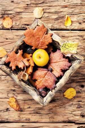 Autumn still life with cookies in the form of autumn leaves, apples and fallen leaves.Autumn conceptの写真素材