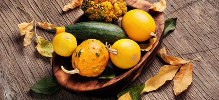 Beautiful autumn seasonal background with pumpkins in tray.Autumn nature concept