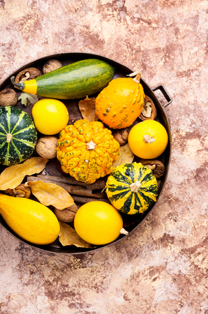 Autumn seasonal background with pumpkinsin tray.Autumn nature conceptの写真素材