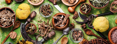 Big set of healing herbs, plants and medicinal roots.Long banner.Healing roots and herbsの写真素材