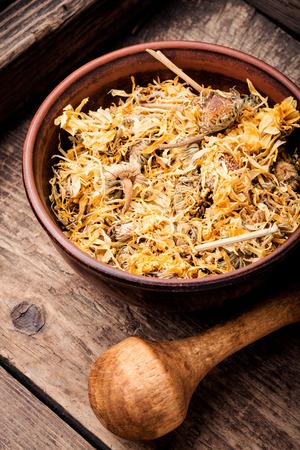 Dry marigold medicinal herbs or healthy calendula herbs.Herbal medicineの写真素材