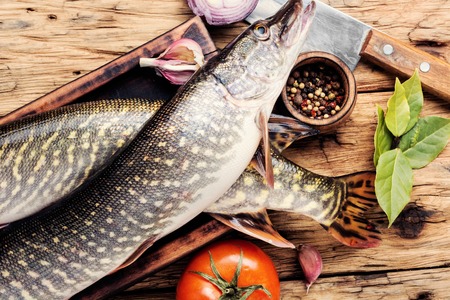 Two raw pike with spices on an old wooden background.Raw fish with spices for cooking.の写真素材