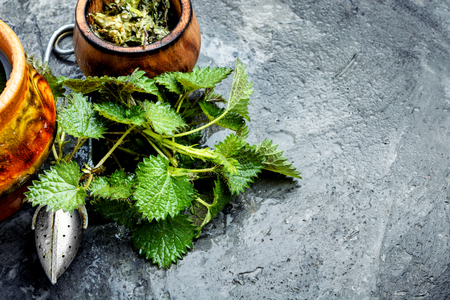 Cup of healthy herbal tea with nettle.の写真素材