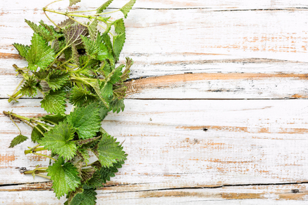 Fresh stinging nettle leaves on wooden table.Urtica dioica, often called common nettleの写真素材