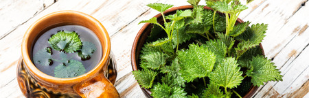 Herbal tea. Cup of herbal tea with nettle.