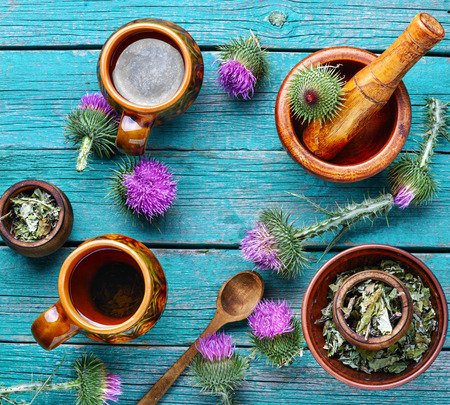 Herbal tea.Medical plants flowers.Milk thistle or Silybum marianumの写真素材