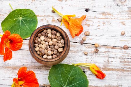 Seeds, leaves and flowers of nasturtium.Spice.Herbal medicine.の写真素材