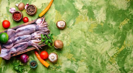 Raw squid on the kitchen board.Seafood.Fresh raw whole squidの写真素材