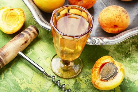 Homemade ripe apricot wine.Alcoholic drink.Fruit wine or liquor in glassの写真素材