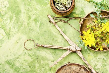 Flowering medicinal hypericum on medical scales.Medicinal herbs.Herbal medicineの写真素材