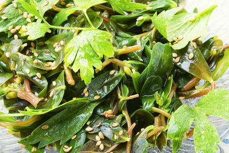 Fresh salad with mixed greensの写真素材