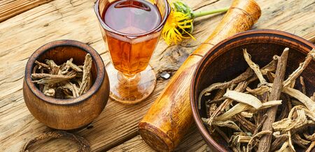 Roots and rhizomes of elecampane.Medicinal plant inula.Preparation of medicine from the roots of inulaの写真素材