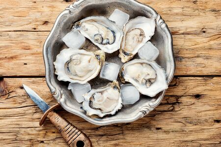 Fresh oysters in plate of ice.Seafood on dark wooden backgroundの写真素材