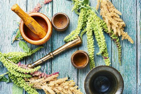 Amaranth or amaranthus.Medicinal herbs, herbal medicine.Amaranth inflorescences on a table with mortarsの写真素材