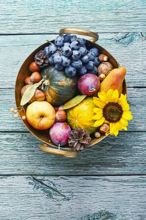 Autumn composing with pumpkin, fruit and fall leavesの写真素材