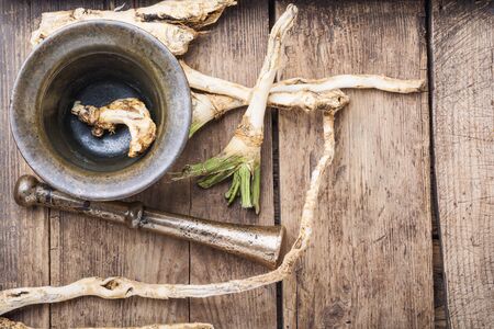 Fresh horseradish roots on wooden table.Ingredient for cooking spices.の写真素材