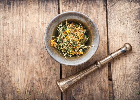 Dry hypericum on wooden table.Medicinal herbs and alternative medicineの写真素材