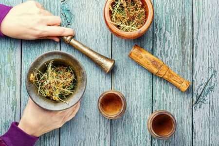 Mortar with medicinal herbs in the hands of people.Dry medicinal hypericum.Medicinal herbsの写真素材