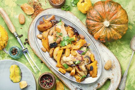 Chicken, pumpkin and vegetable meat stew.Autumn food.の写真素材