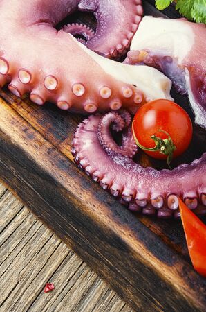 Tentacles of raw octopus on kitchen board.Food diet,healthy eatingの写真素材