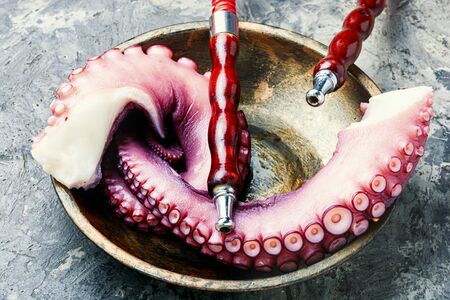 Octopus with Oriental smoking shisha