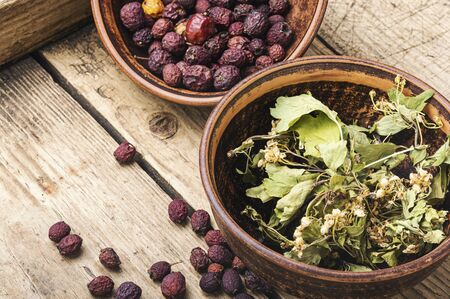 Medicinal plant hawthorn or haw in herbal medicine.Homeopathy.の写真素材